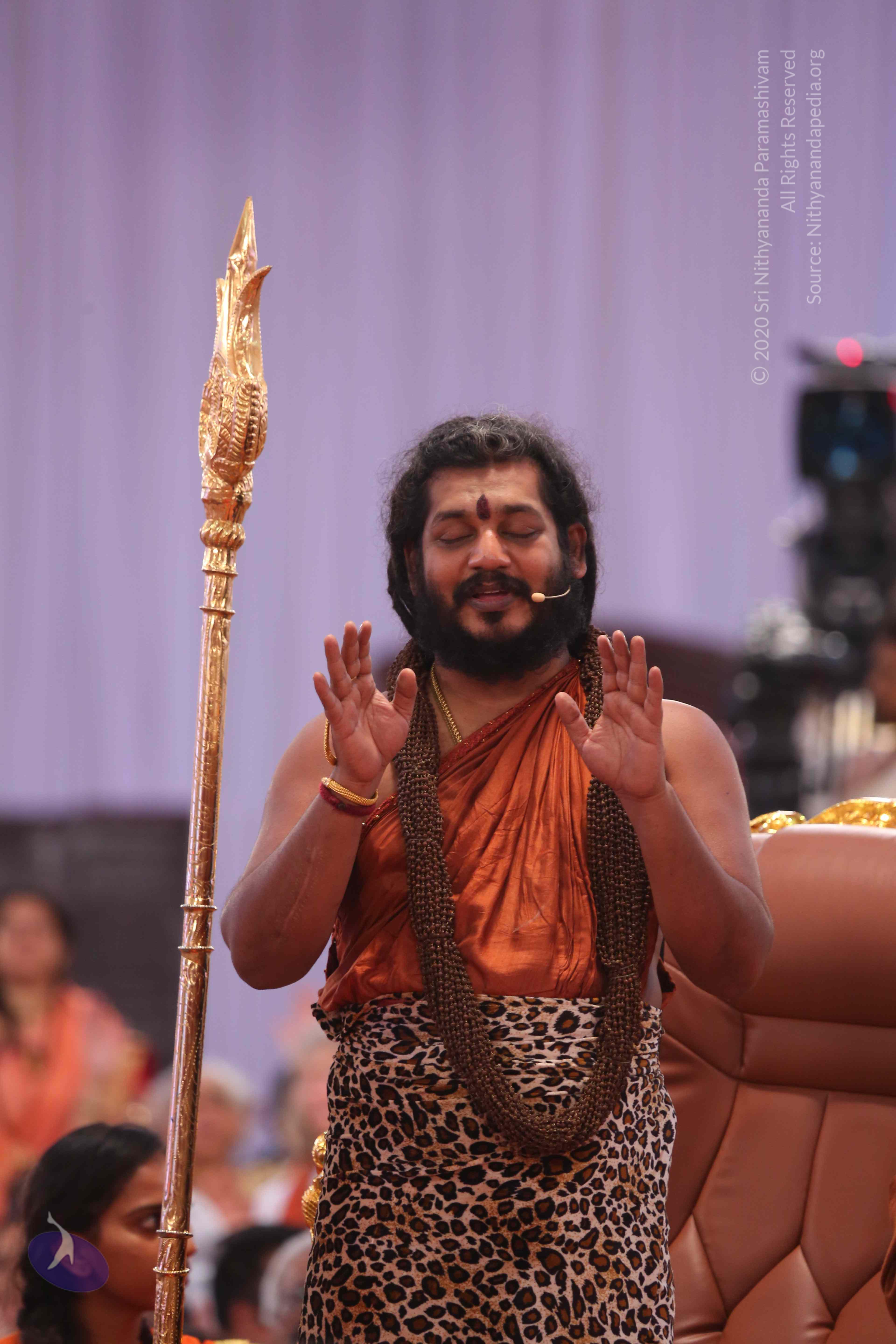 20161204_Photo_1230_IMGL5681_CMP_WM